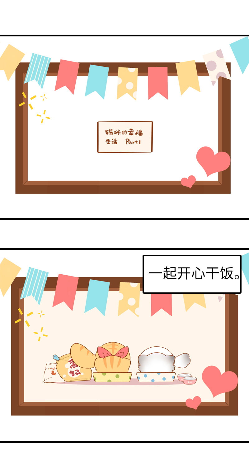 《猫咪的人类饲养指南》第44话 猫咪的幸福生活（现象中） 第2页