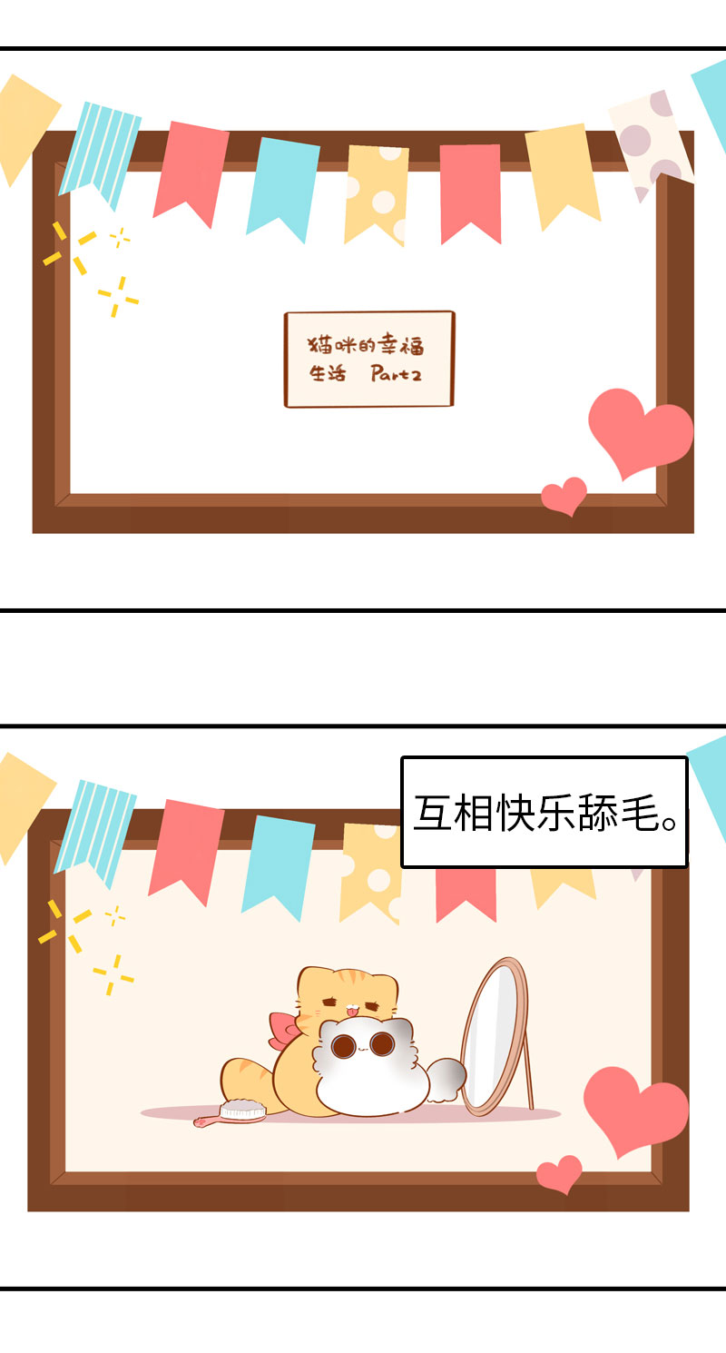 《猫咪的人类饲养指南》第44话 猫咪的幸福生活（现象中） 第3页