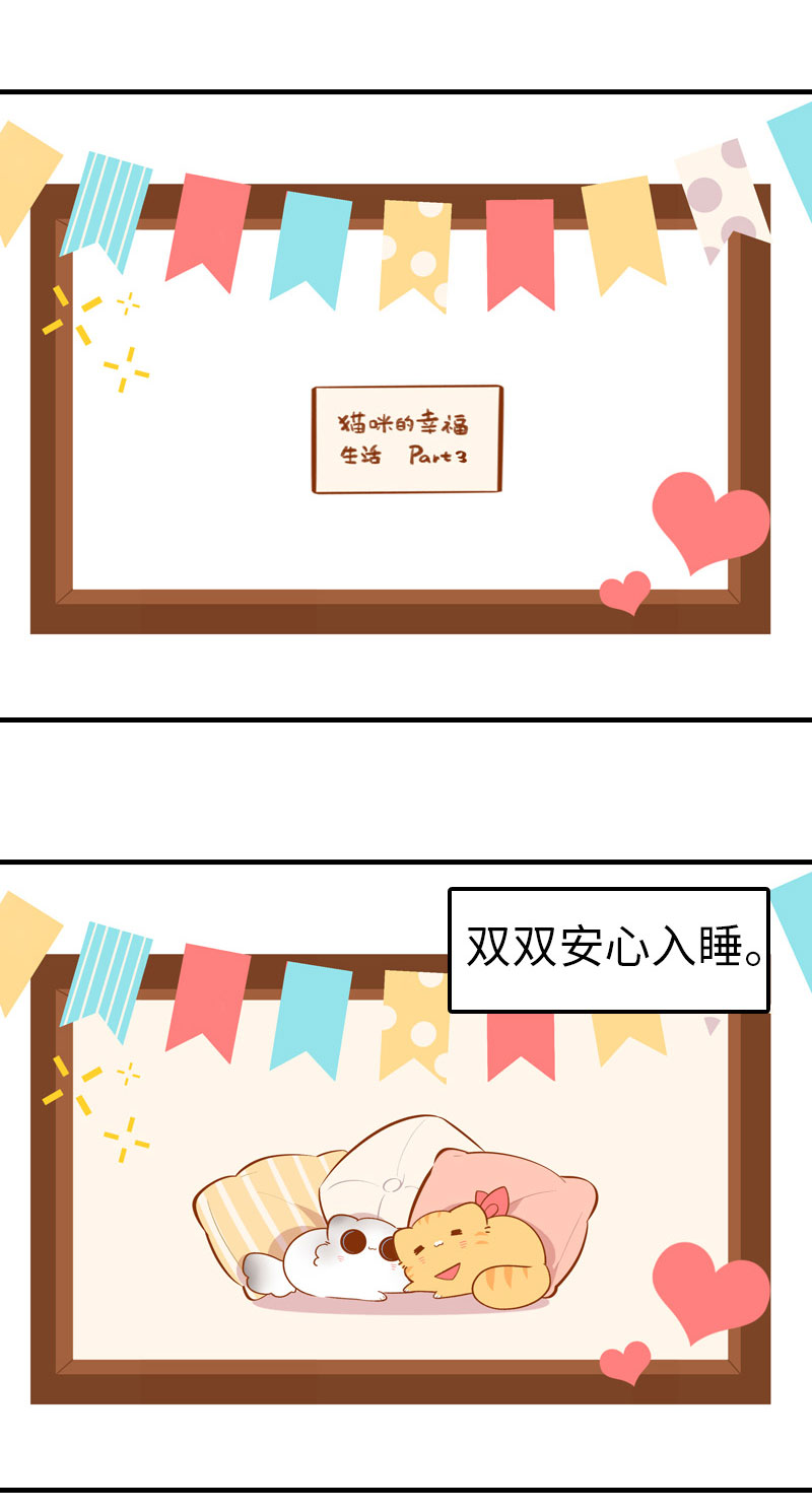 《猫咪的人类饲养指南》第44话 猫咪的幸福生活（现象中） 第4页