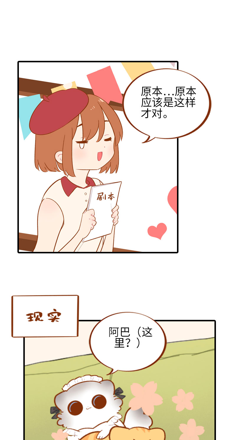 《猫咪的人类饲养指南》第44话 猫咪的幸福生活（现象中） 第5页