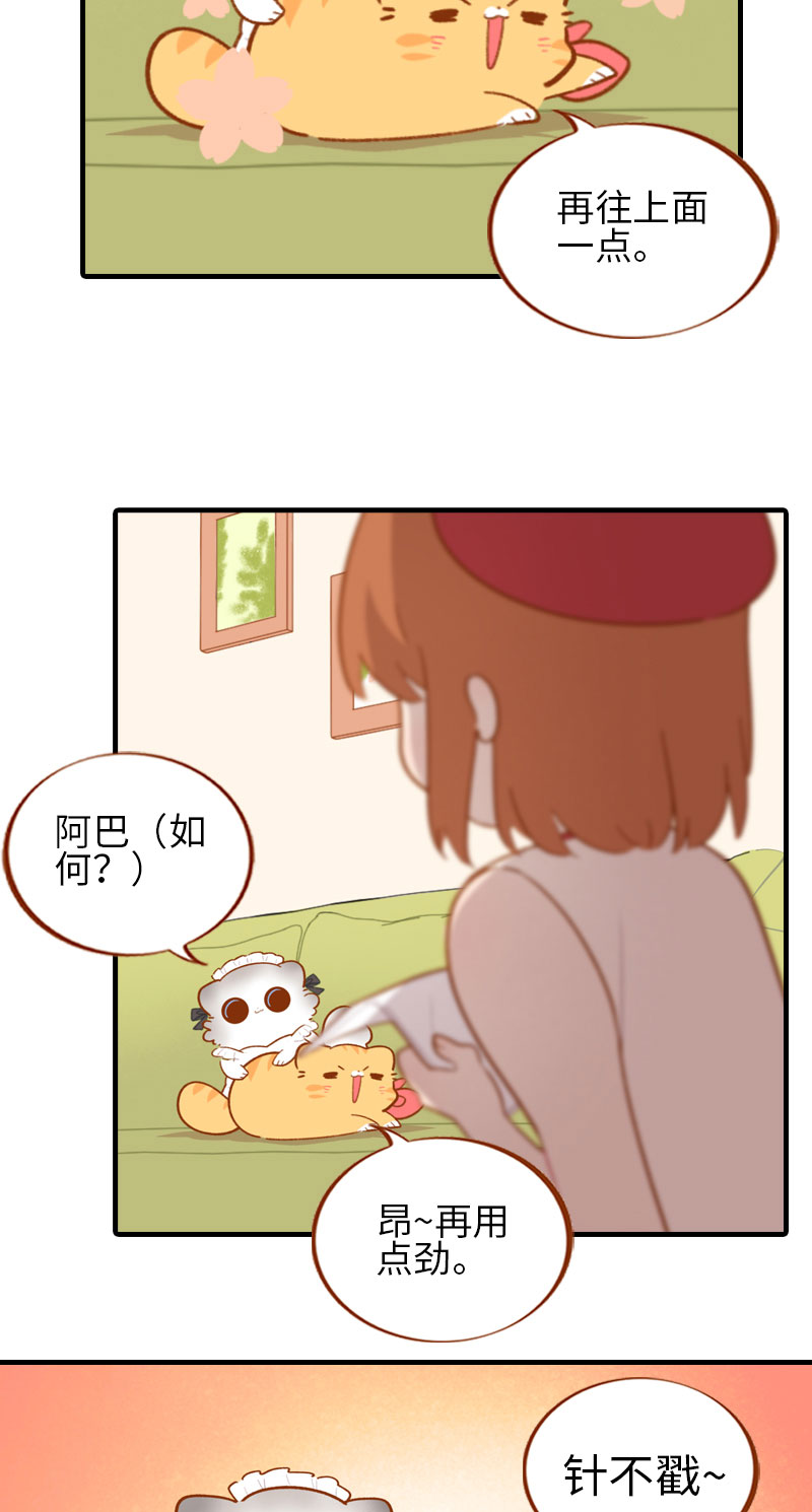 《猫咪的人类饲养指南》第44话 猫咪的幸福生活（现象中） 第6页