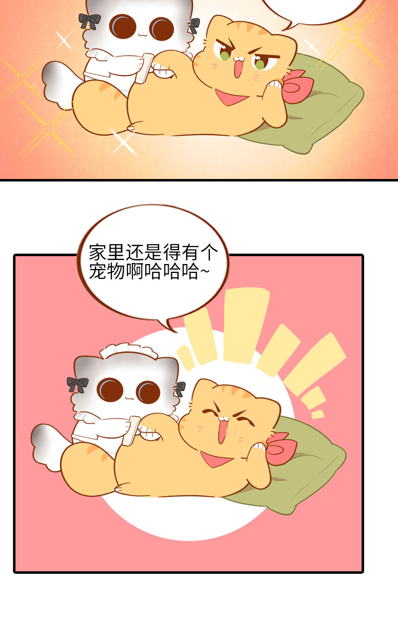 《猫咪的人类饲养指南》第44话 猫咪的幸福生活（现象中） 第7页