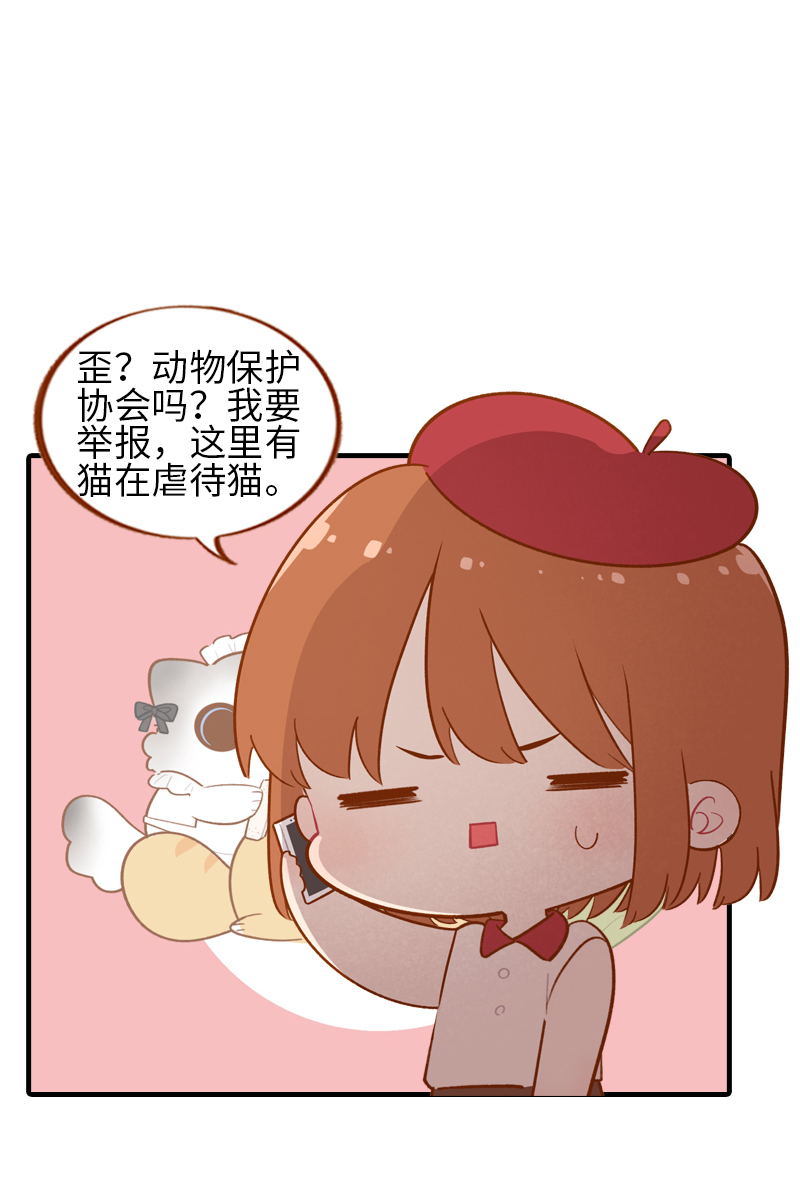《猫咪的人类饲养指南》第44话 猫咪的幸福生活（现象中） 第8页