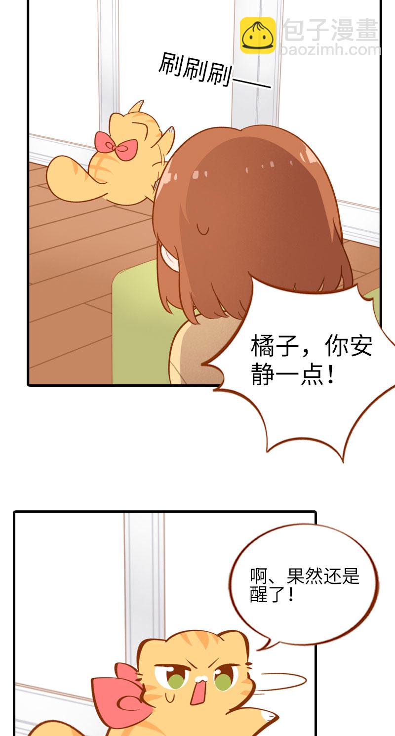 《猫咪的人类饲养指南》第43话 正道的光 第3页