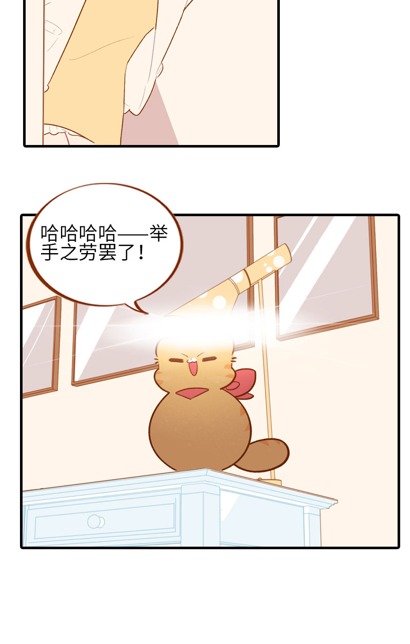 《猫咪的人类饲养指南》第43话 正道的光 第7页