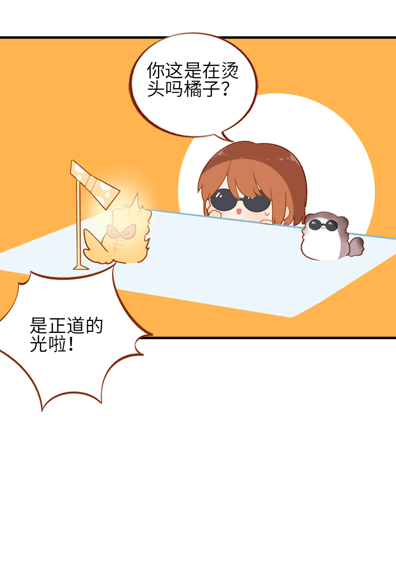 《猫咪的人类饲养指南》第43话 正道的光 第8页