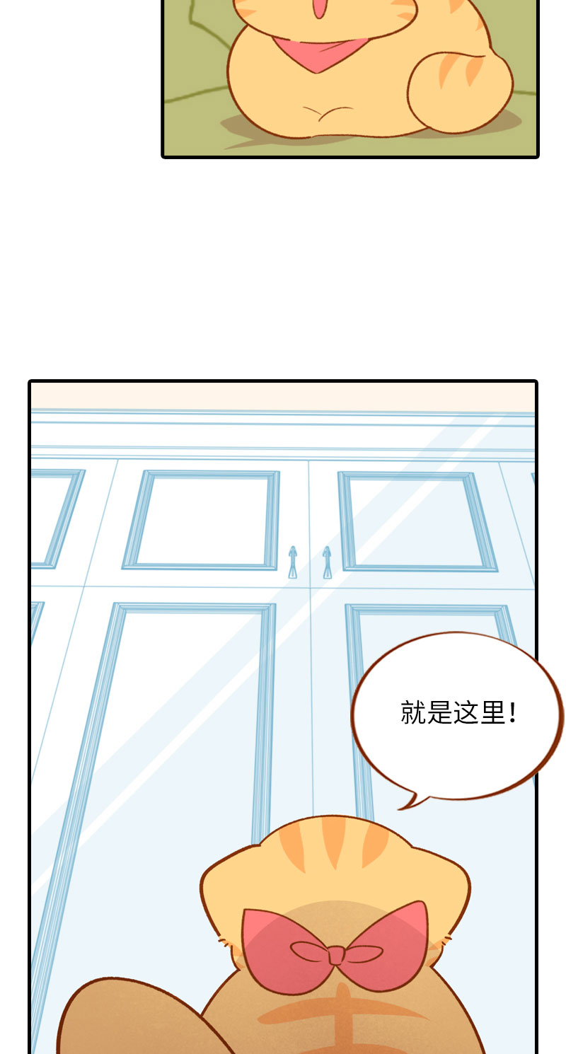 《猫咪的人类饲养指南》第45话 新风格大尝试 第4页