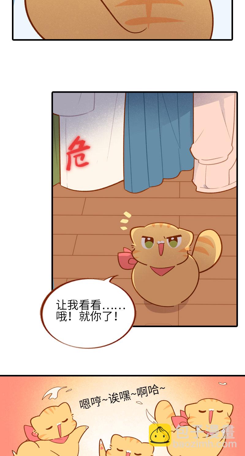 《猫咪的人类饲养指南》第45话 新风格大尝试 第5页