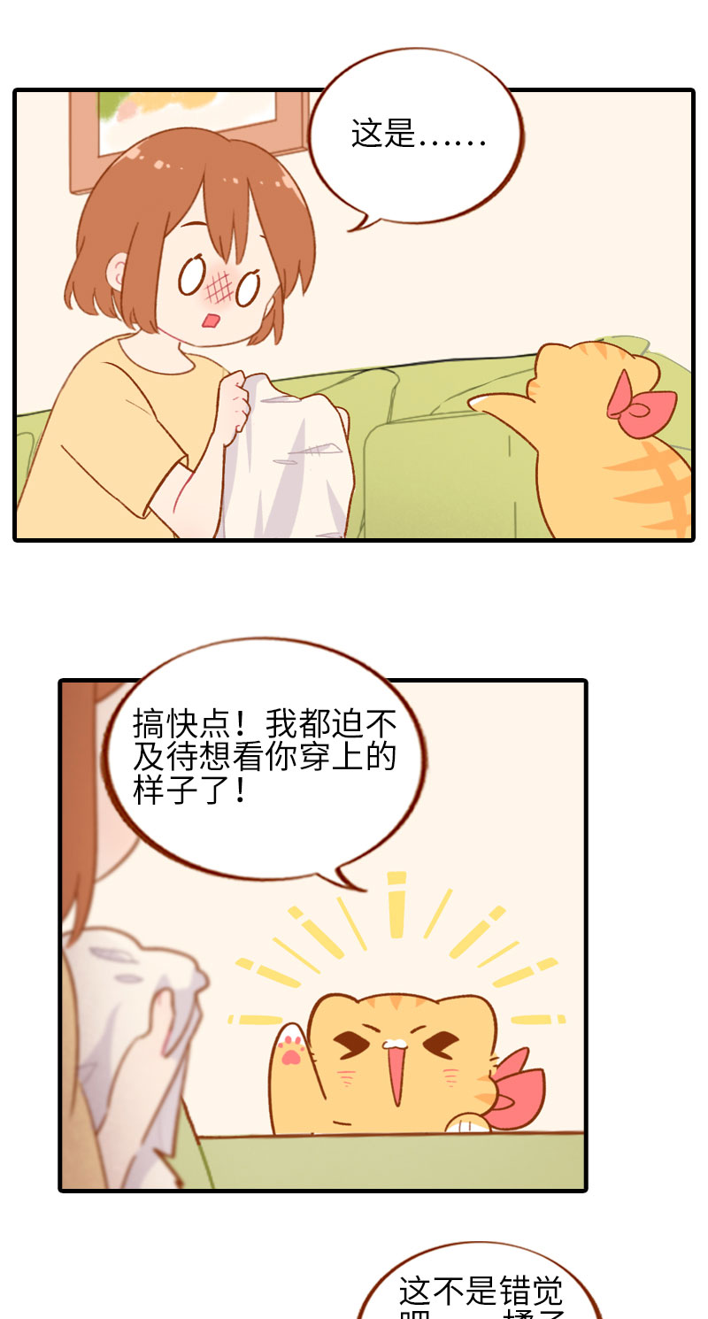 《猫咪的人类饲养指南》第45话 新风格大尝试 第8页