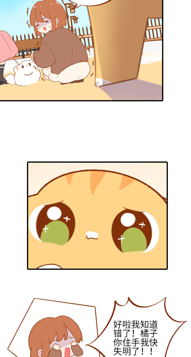 《猫咪的人类饲养指南》第47话 与雪球的第一次相遇 第10页