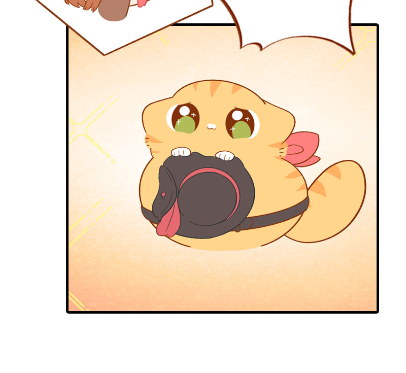 《猫咪的人类饲养指南》第47话 与雪球的第一次相遇 第11页