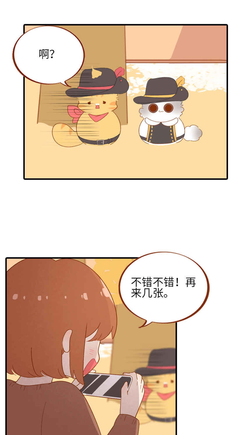 《猫咪的人类饲养指南》第47话 与雪球的第一次相遇 第3页
