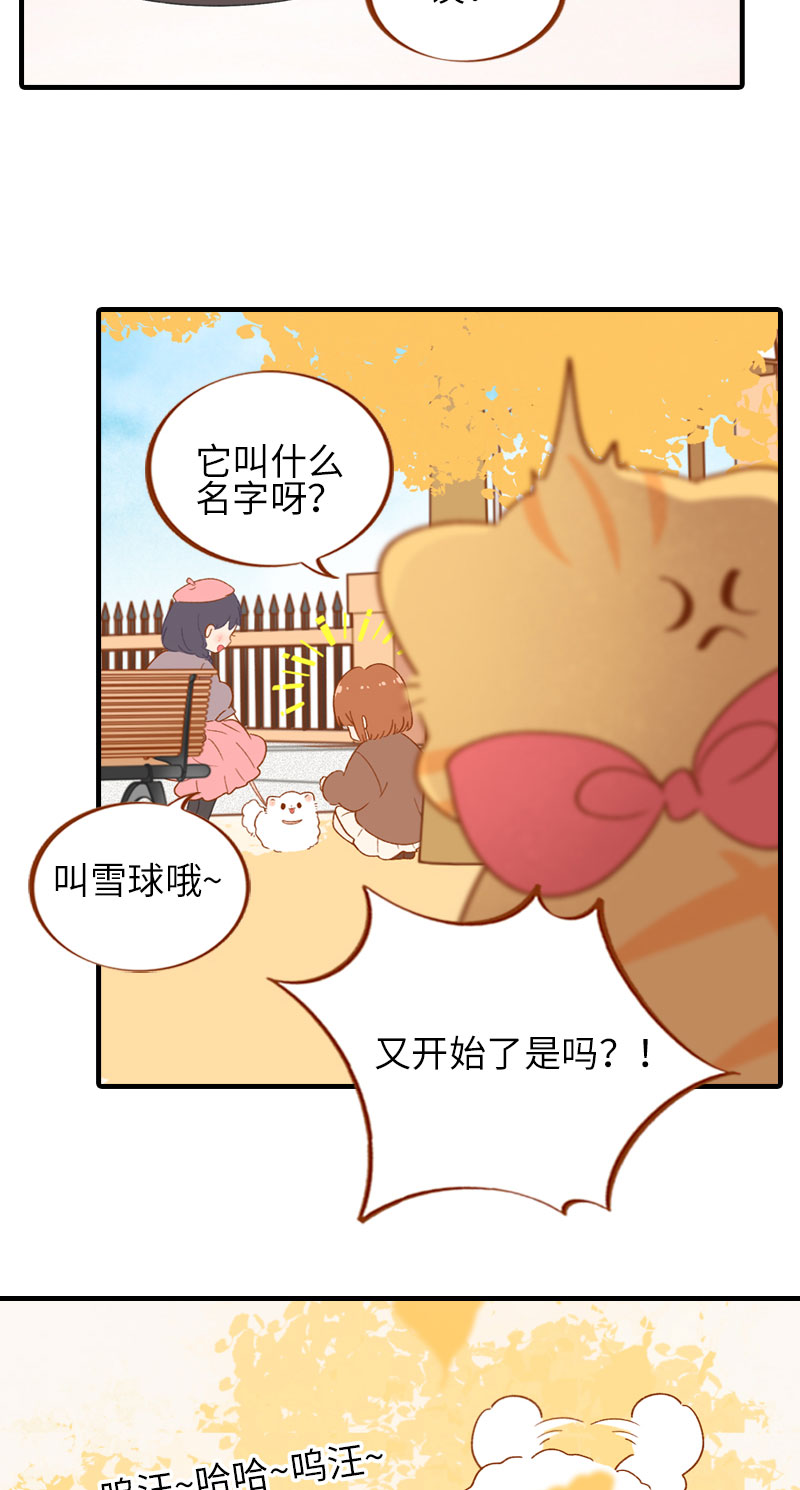《猫咪的人类饲养指南》第47话 与雪球的第一次相遇 第5页