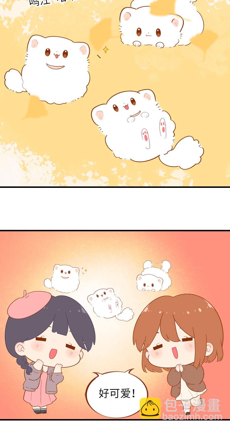 《猫咪的人类饲养指南》第47话 与雪球的第一次相遇 第6页
