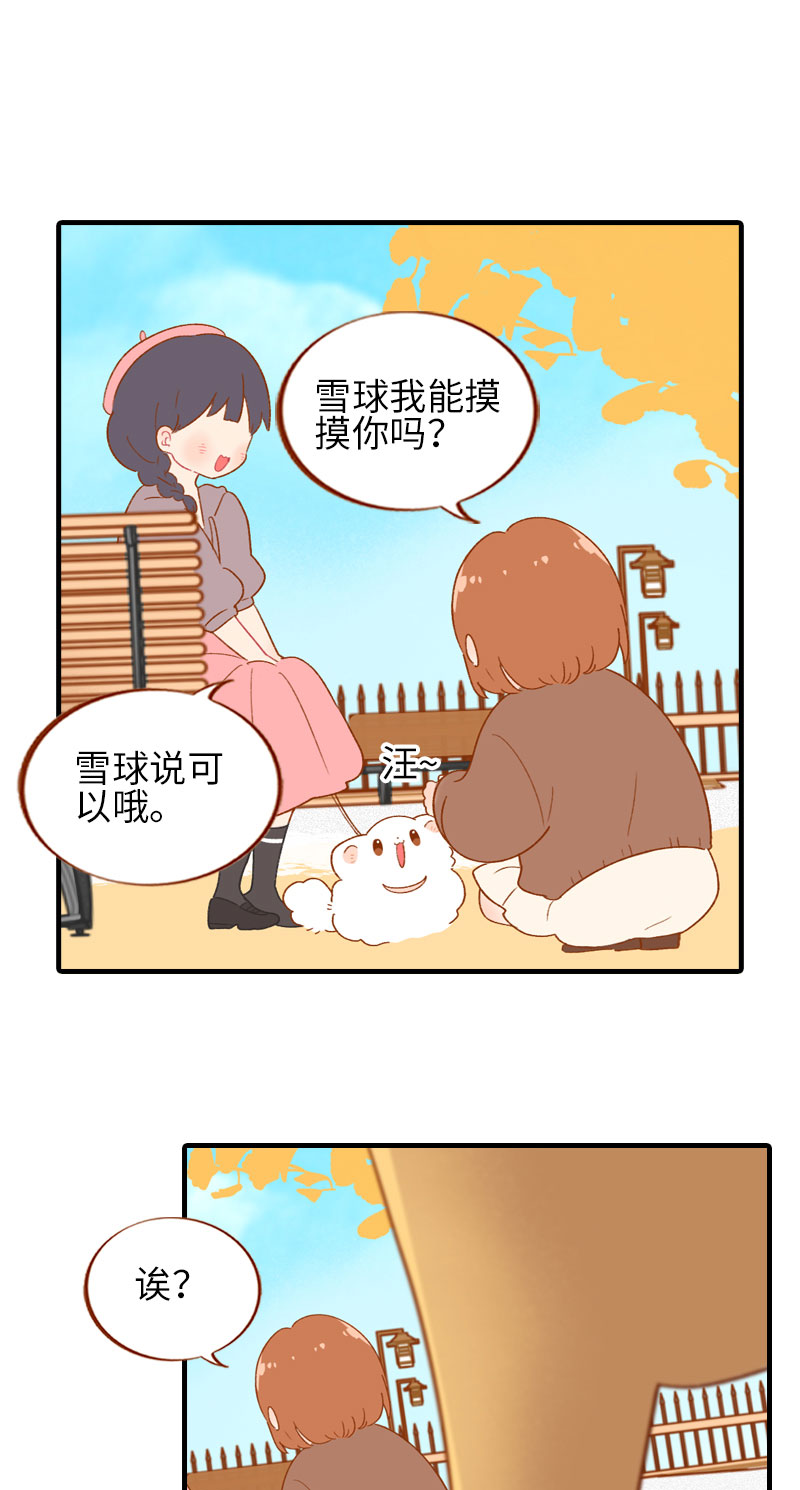 《猫咪的人类饲养指南》第47话 与雪球的第一次相遇 第8页