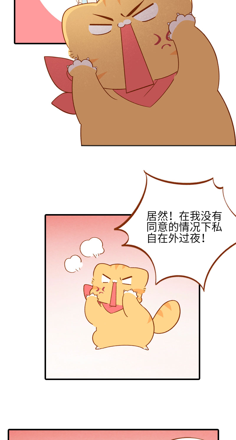 《猫咪的人类饲养指南》第49话 橘子的本体 第4页