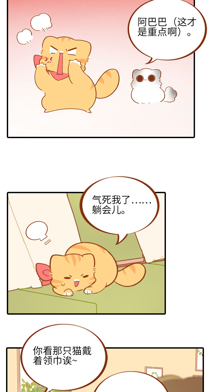 《猫咪的人类饲养指南》第49话 橘子的本体 第5页