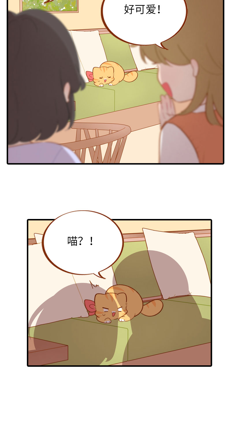 《猫咪的人类饲养指南》第49话 橘子的本体 第6页