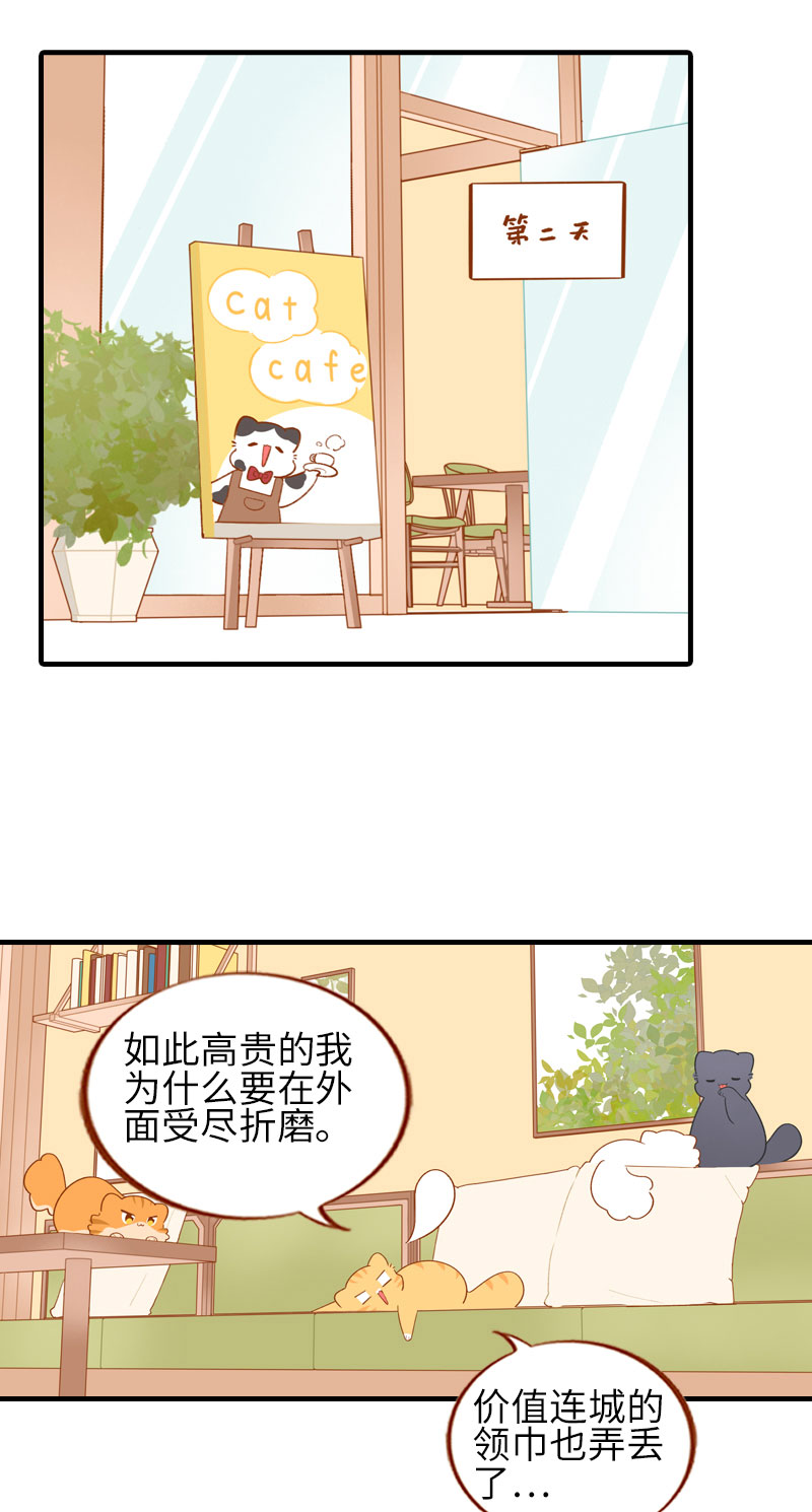 《猫咪的人类饲养指南》第50话 以为自己被抛弃的橘子 第2页