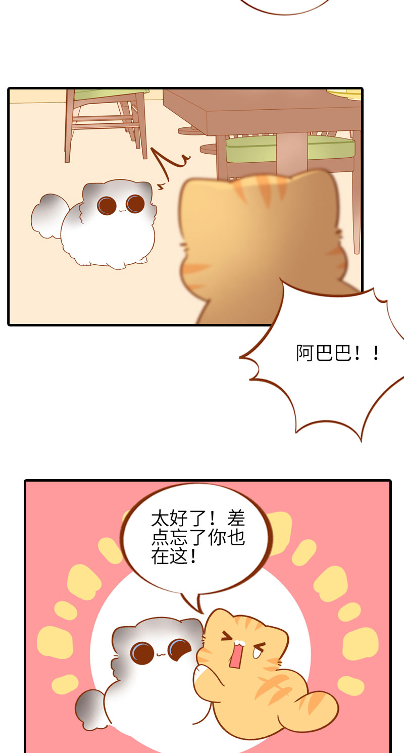 《猫咪的人类饲养指南》第50话 以为自己被抛弃的橘子 第3页