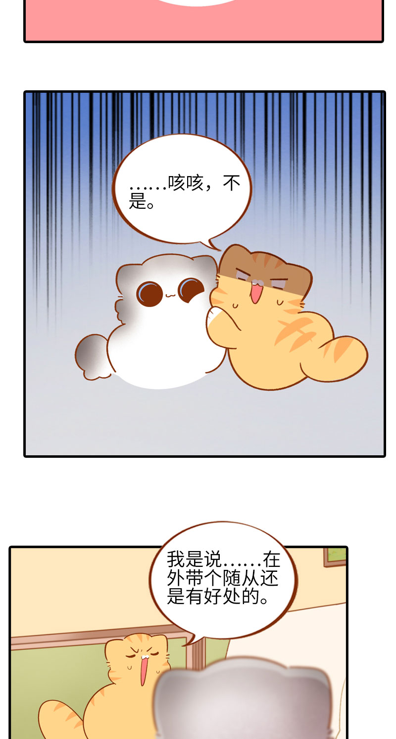 《猫咪的人类饲养指南》第50话 以为自己被抛弃的橘子 第4页