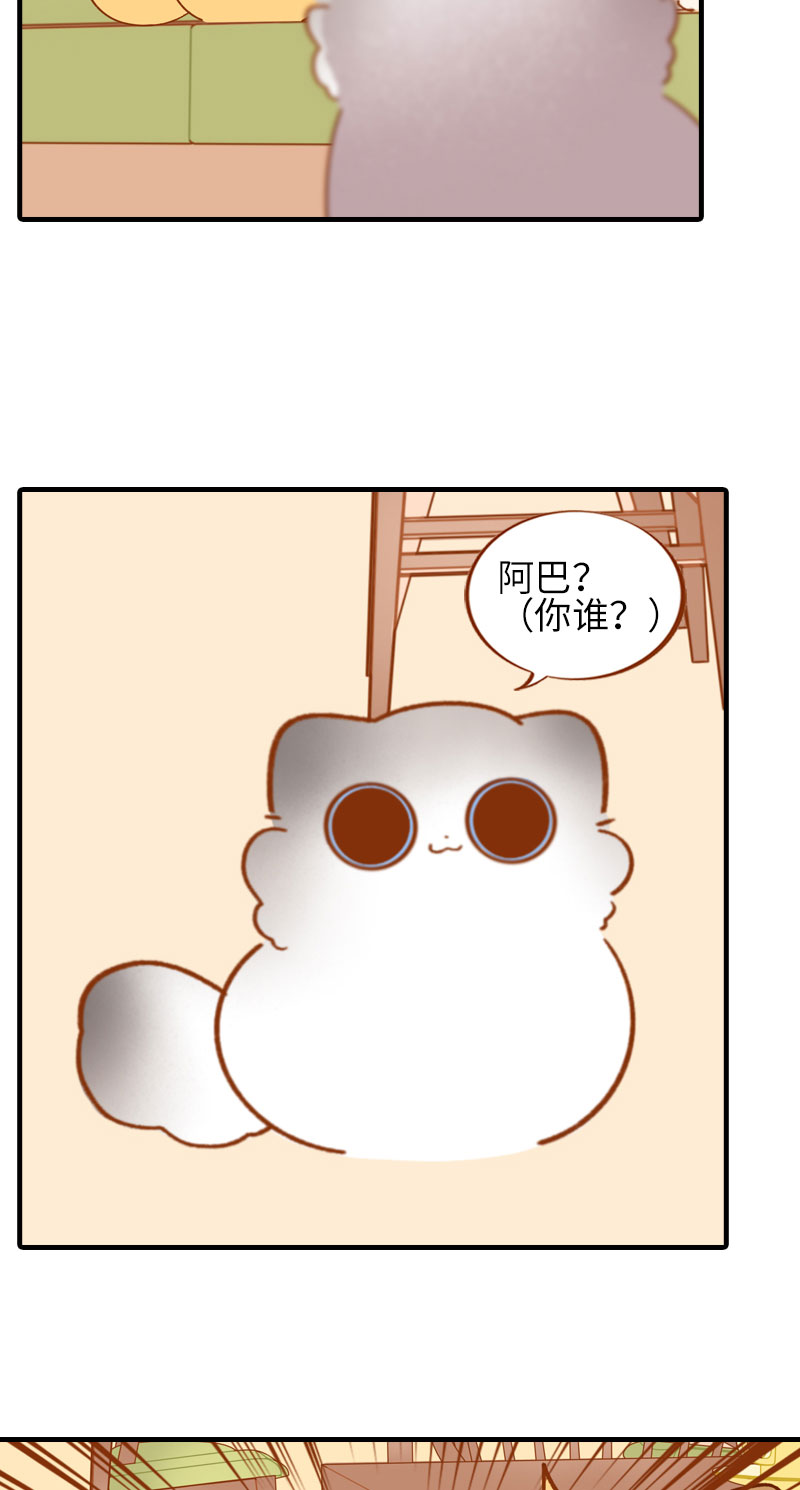 《猫咪的人类饲养指南》第50话 以为自己被抛弃的橘子 第5页