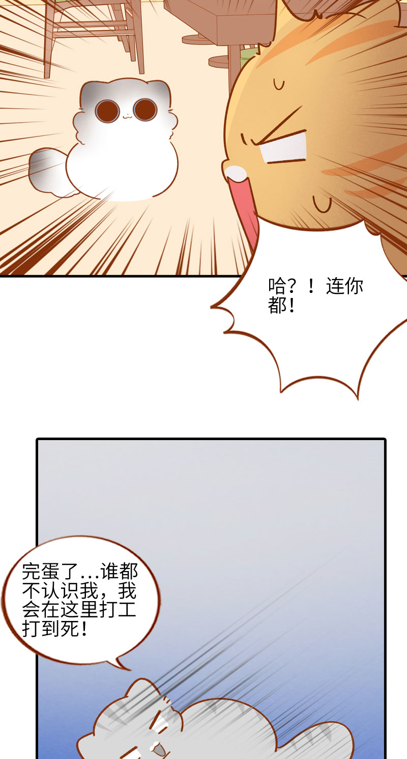 《猫咪的人类饲养指南》第50话 以为自己被抛弃的橘子 第6页