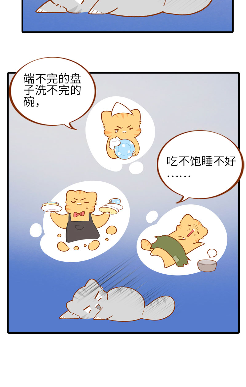 《猫咪的人类饲养指南》第50话 以为自己被抛弃的橘子 第7页