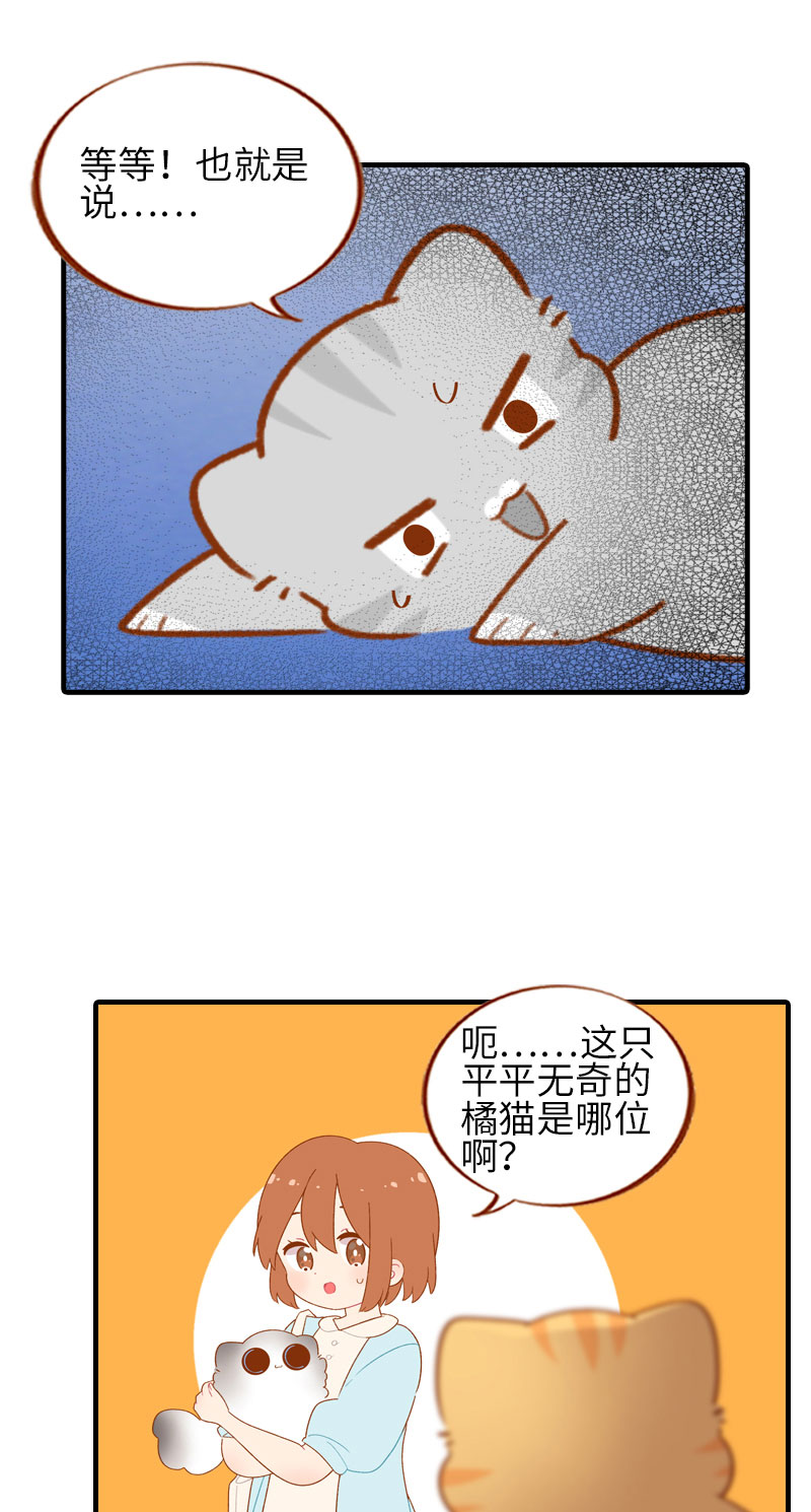 《猫咪的人类饲养指南》第50话 以为自己被抛弃的橘子 第8页