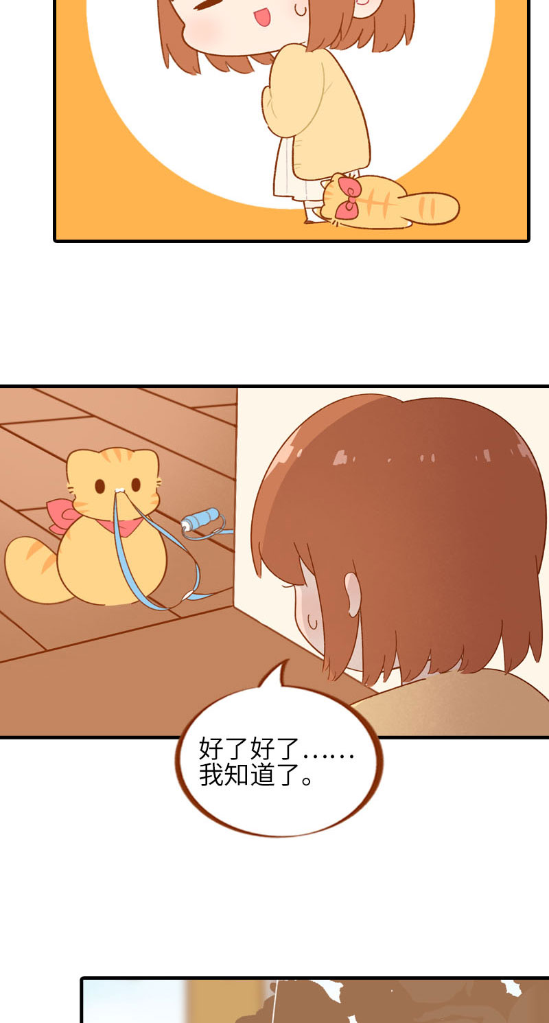 《猫咪的人类饲养指南》第54话 又是你——雪球！ 第3页