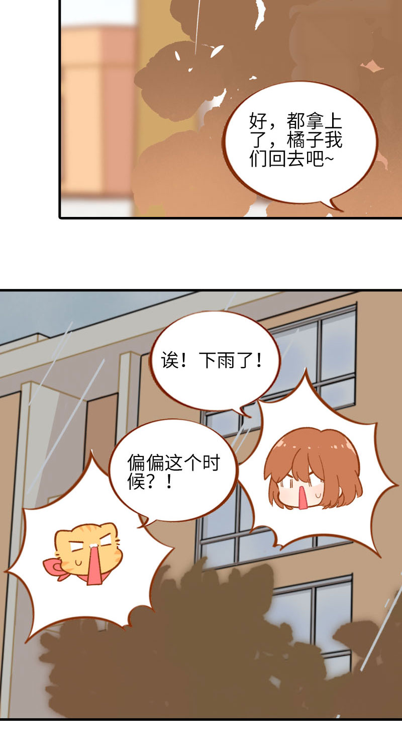 《猫咪的人类饲养指南》第54话 又是你——雪球！ 第4页