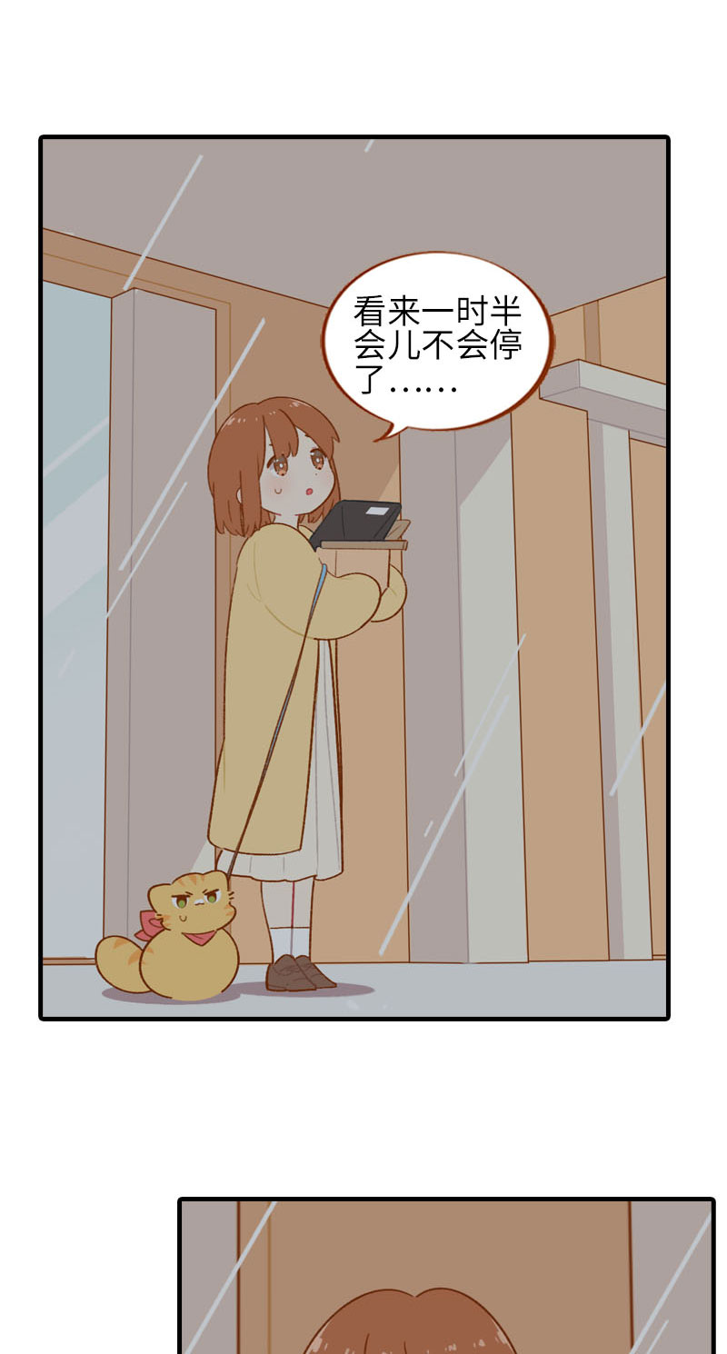 《猫咪的人类饲养指南》第54话 又是你——雪球！ 第5页