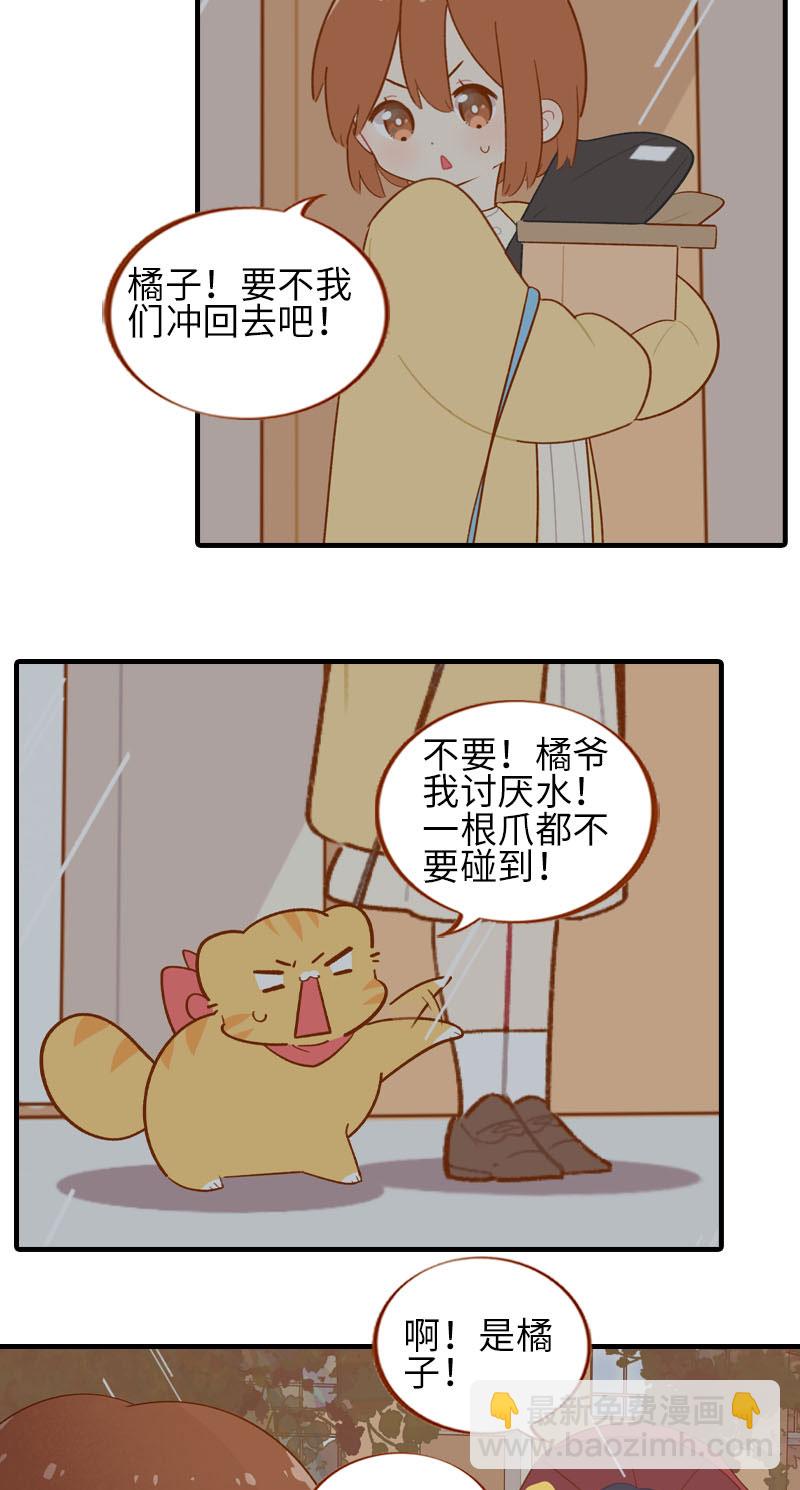 《猫咪的人类饲养指南》第54话 又是你——雪球！ 第6页