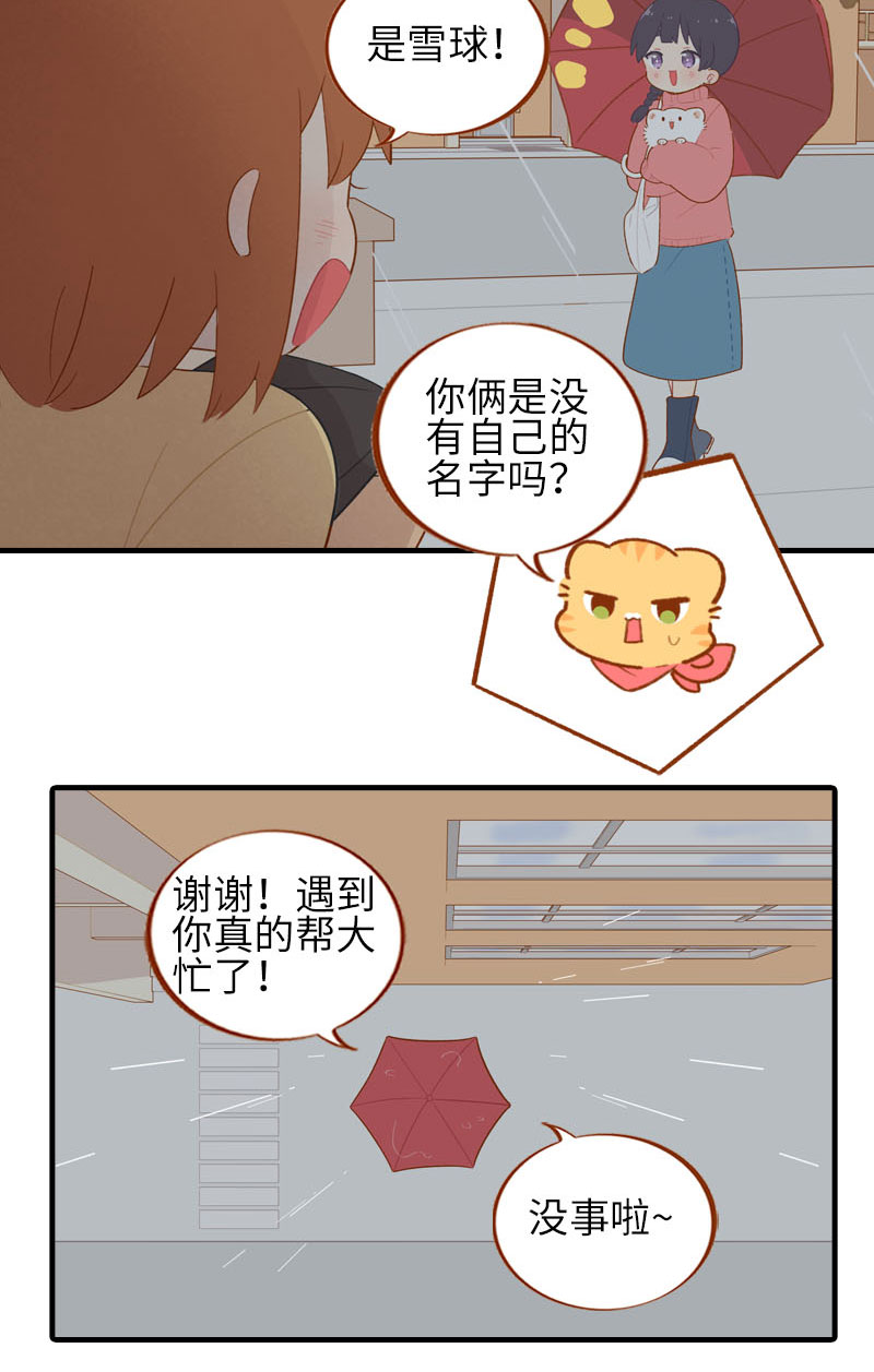 《猫咪的人类饲养指南》第54话 又是你——雪球！ 第7页