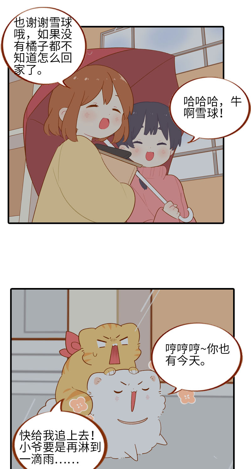 《猫咪的人类饲养指南》第54话 又是你——雪球！ 第8页