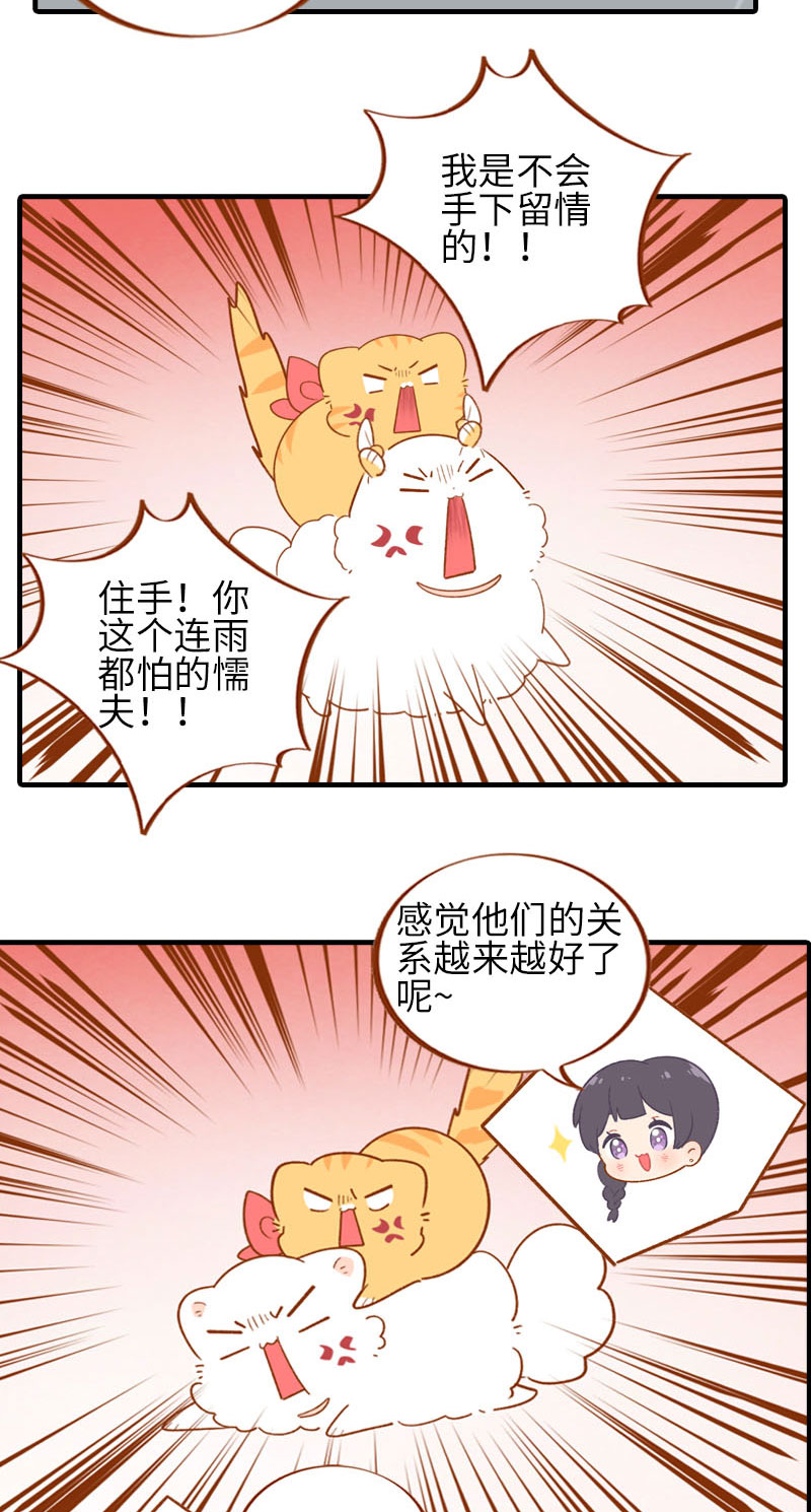 《猫咪的人类饲养指南》第54话 又是你——雪球！ 第9页