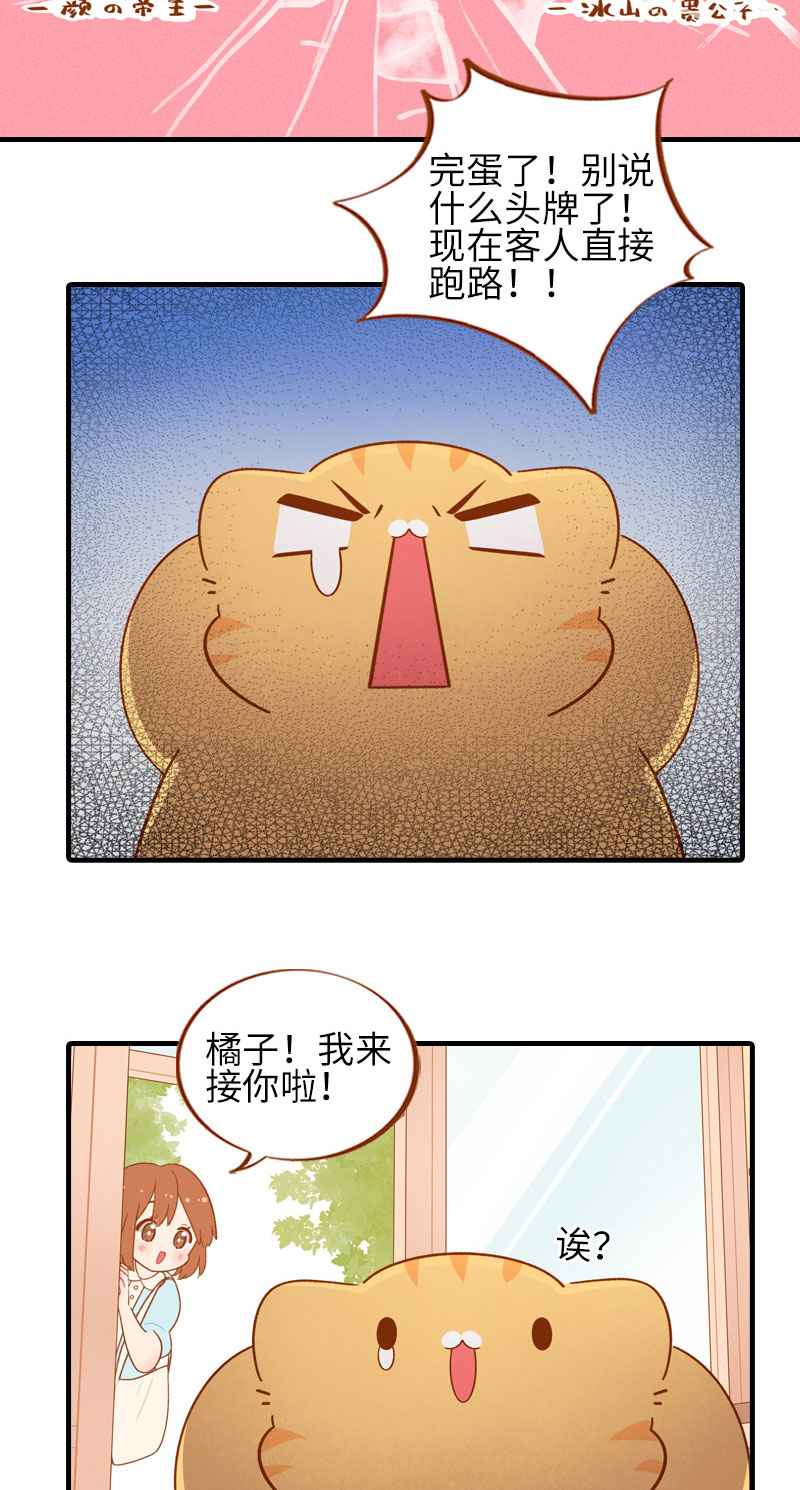 《猫咪的人类饲养指南》第51话 橘爷我不会被命运打败！ 第11页