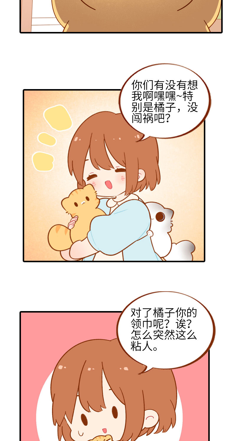 《猫咪的人类饲养指南》第51话 橘爷我不会被命运打败！ 第12页