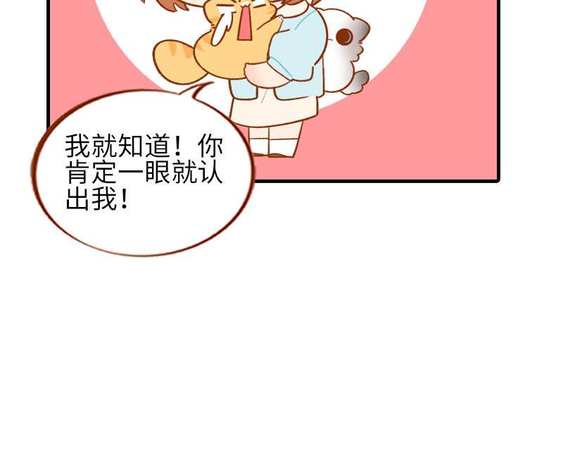 《猫咪的人类饲养指南》第51话 橘爷我不会被命运打败！ 第13页