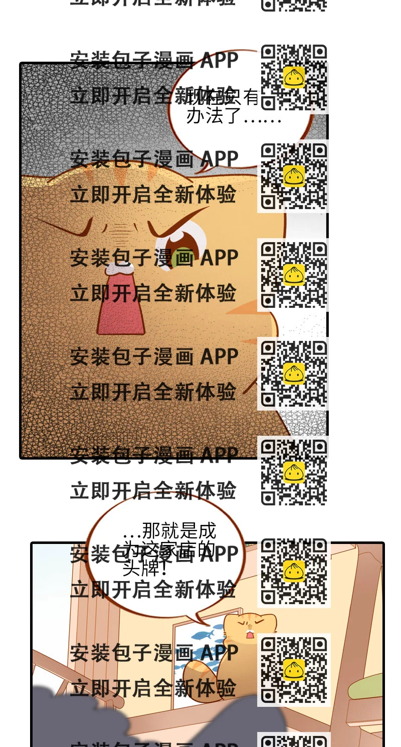 《猫咪的人类饲养指南》第51话 橘爷我不会被命运打败！ 第2页