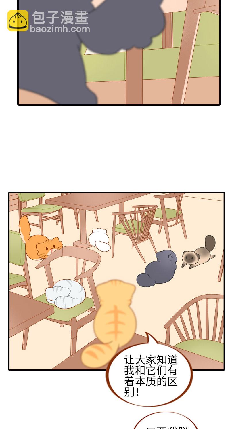 《猫咪的人类饲养指南》第51话 橘爷我不会被命运打败！ 第3页