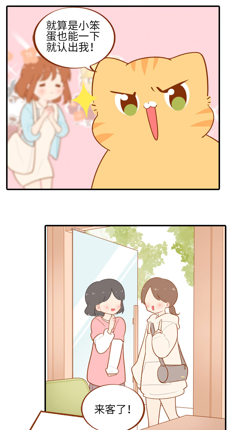 《猫咪的人类饲养指南》第51话 橘爷我不会被命运打败！ 第5页