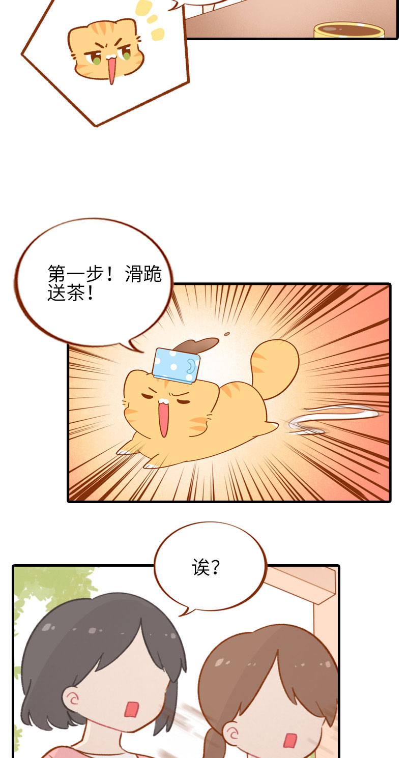 《猫咪的人类饲养指南》第51话 橘爷我不会被命运打败！ 第6页