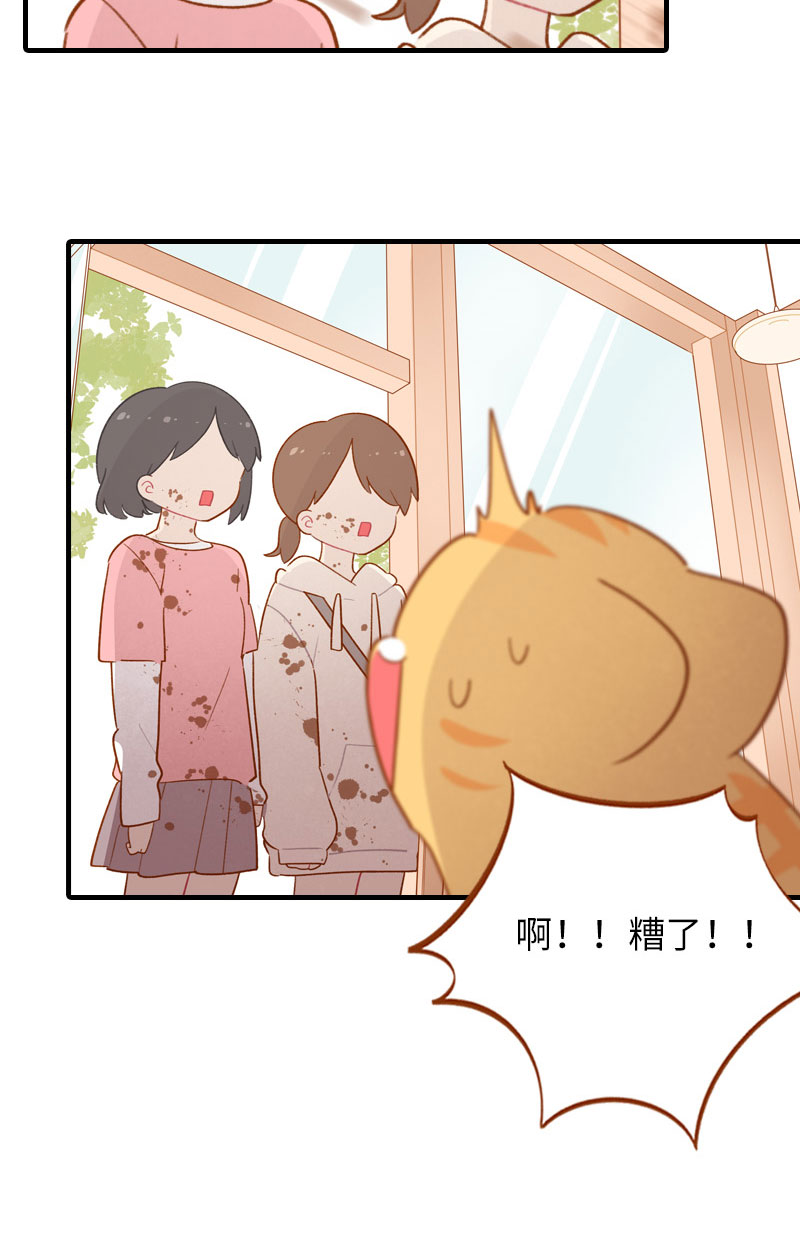 《猫咪的人类饲养指南》第51话 橘爷我不会被命运打败！ 第7页