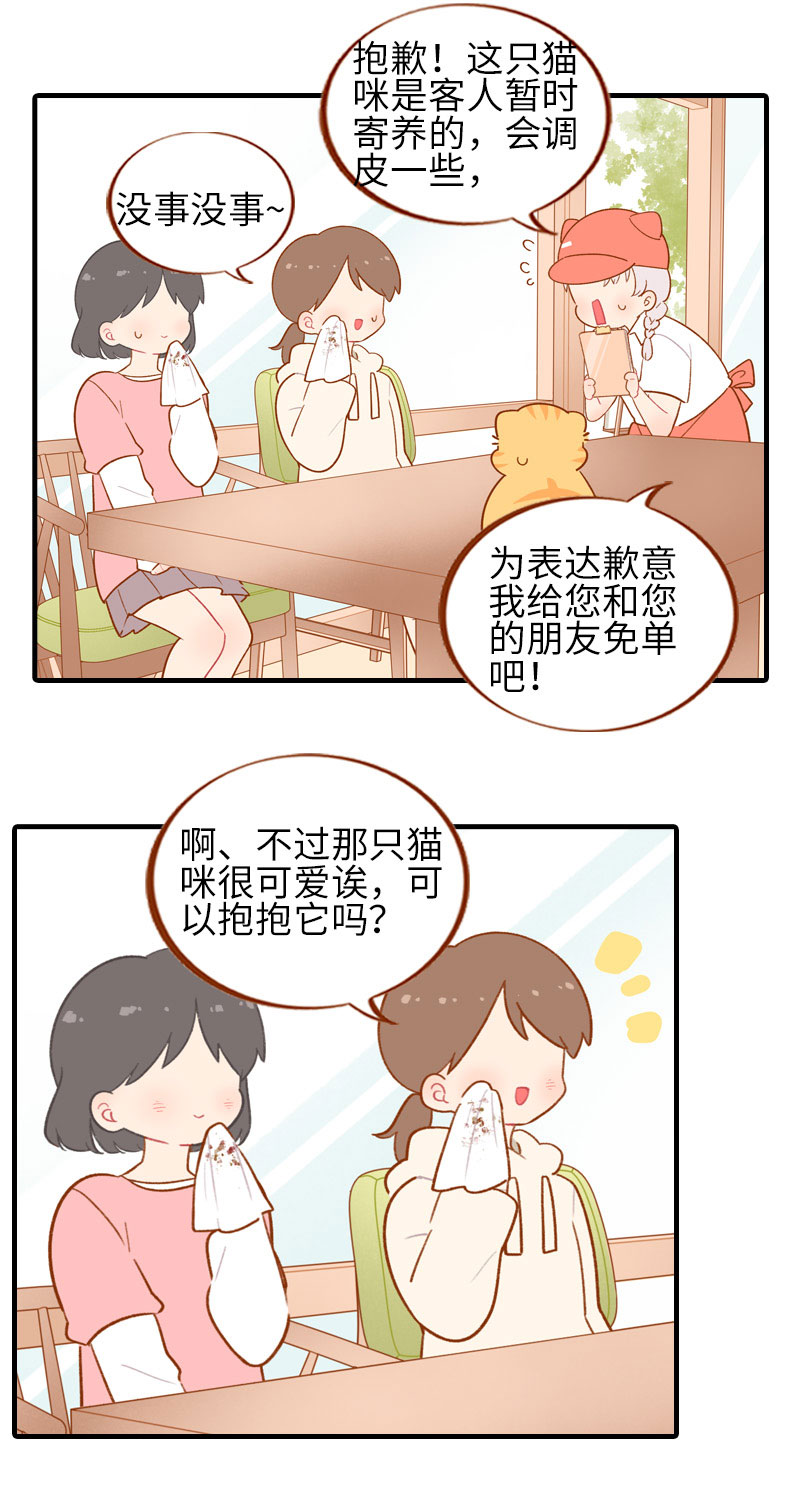 《猫咪的人类饲养指南》第51话 橘爷我不会被命运打败！ 第8页
