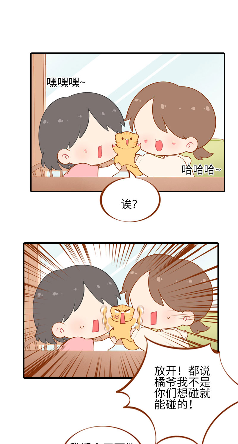 《猫咪的人类饲养指南》第51话 橘爷我不会被命运打败！ 第9页