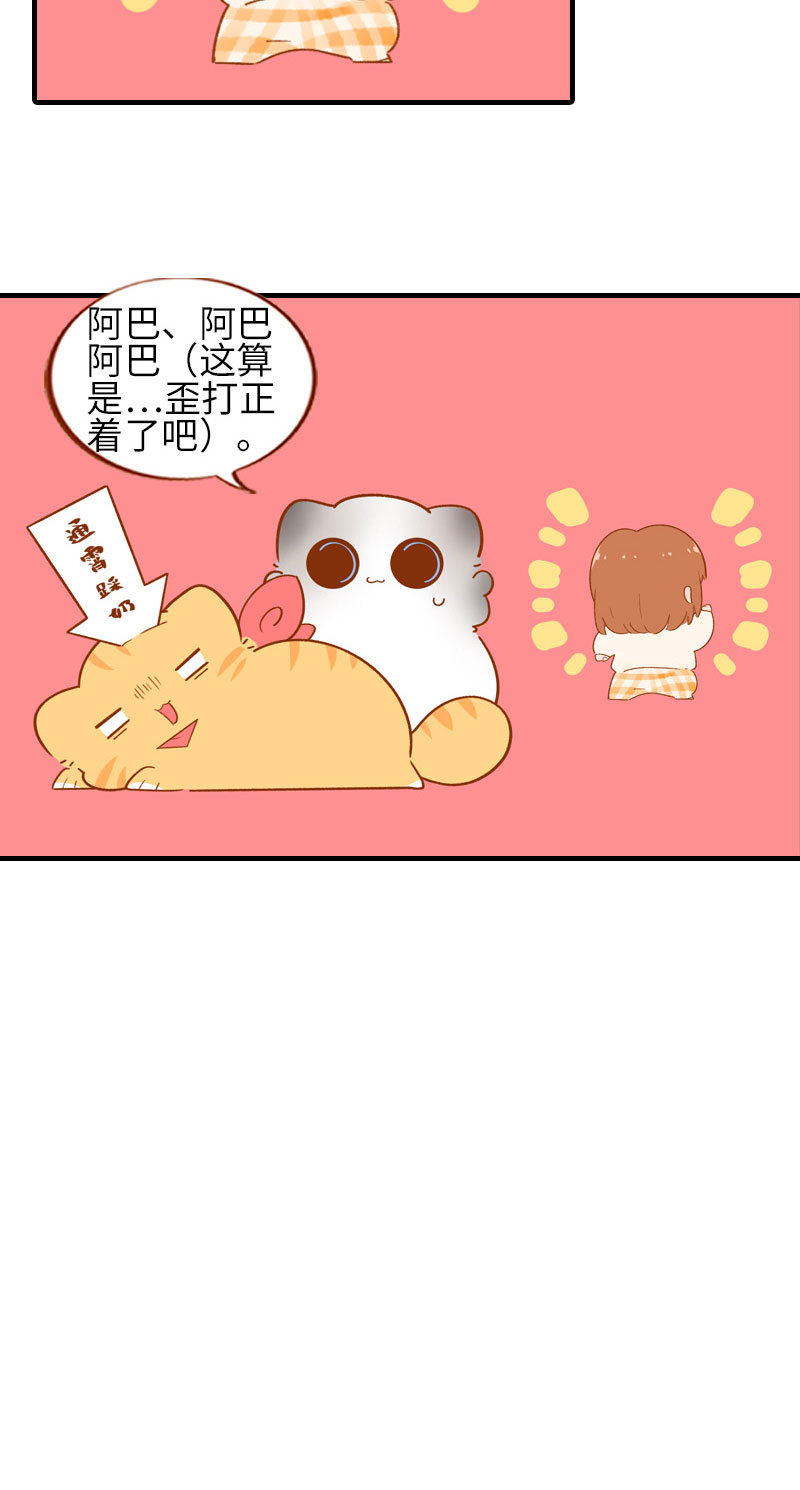 《猫咪的人类饲养指南》第52话 橘爷深夜嘿嘿嘿… 第10页