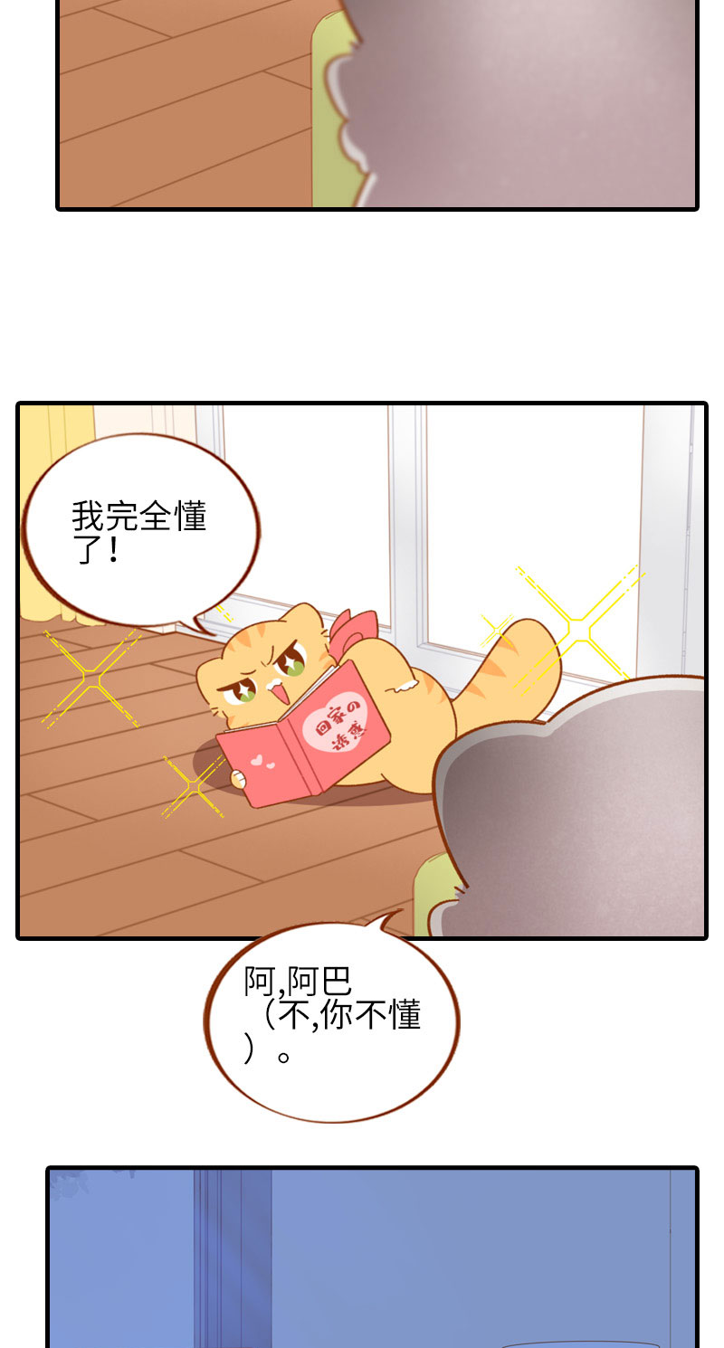 《猫咪的人类饲养指南》第52话 橘爷深夜嘿嘿嘿… 第6页
