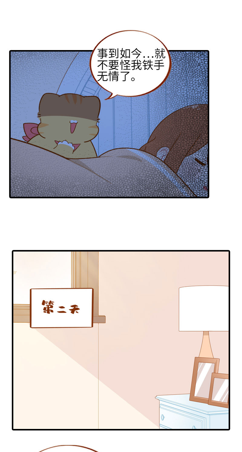 《猫咪的人类饲养指南》第52话 橘爷深夜嘿嘿嘿… 第8页