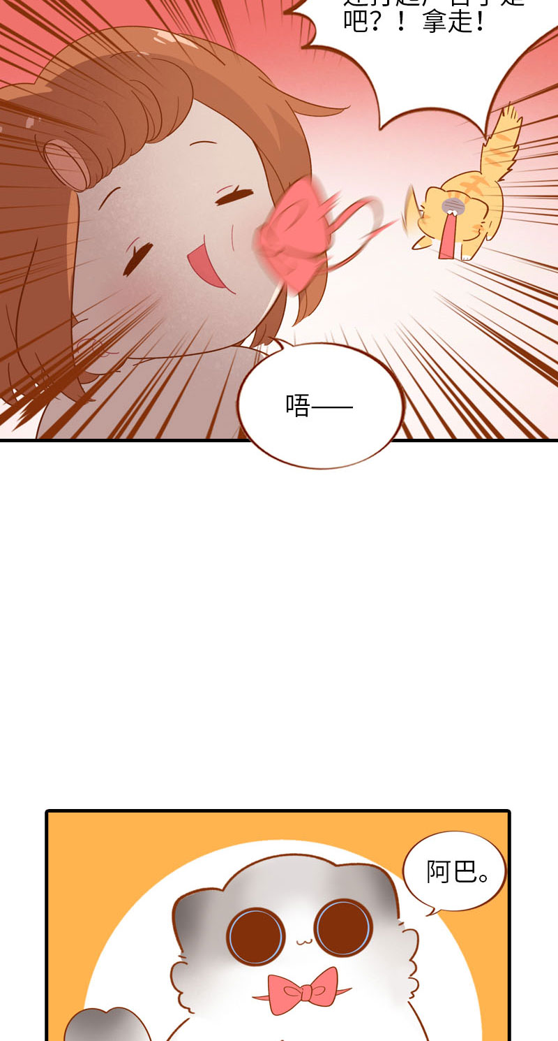 《猫咪的人类饲养指南》第53话 猫咪翻译机 第10页